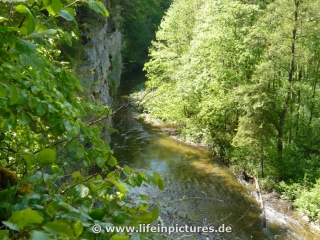 wutachschlucht-05