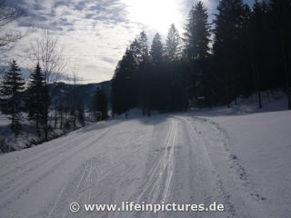 langlaufen-mit-sandra-und-stef-12-004