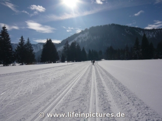 langlaufen-mit-sandra-und-stef-12-007