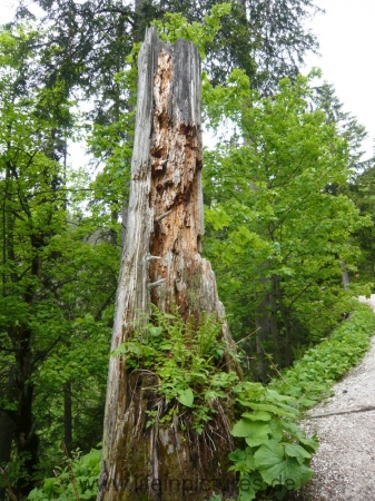 berchtesgaden-juni-12-068