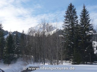 langlaufen-mit-sandra-und-stef-12-003