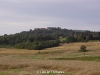 dsc08835