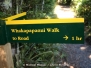 Whakapapanui Walk