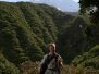 Wanderung rund um den Mt. Egmont