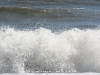 IMG_5050.jpg