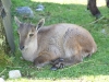 IMG_5098.jpg