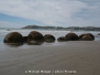 Dunedin, Moeraki Boulders & Oamaru