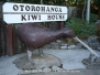 Otorohanga Kiwi House